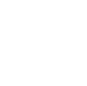 white Axiom Consulting Group logo